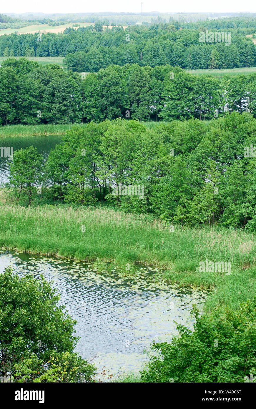 Wigry See in Wigry, Polen. 5. Juli 2008 © wojciech Strozyk/Alamy Stock Foto Stockfoto