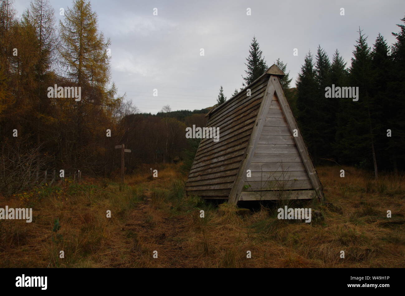 Der Loch Lomond und Cowal Weg. Halbinsel Cowal. Hochland. Schottland. Großbritannien Stockfoto