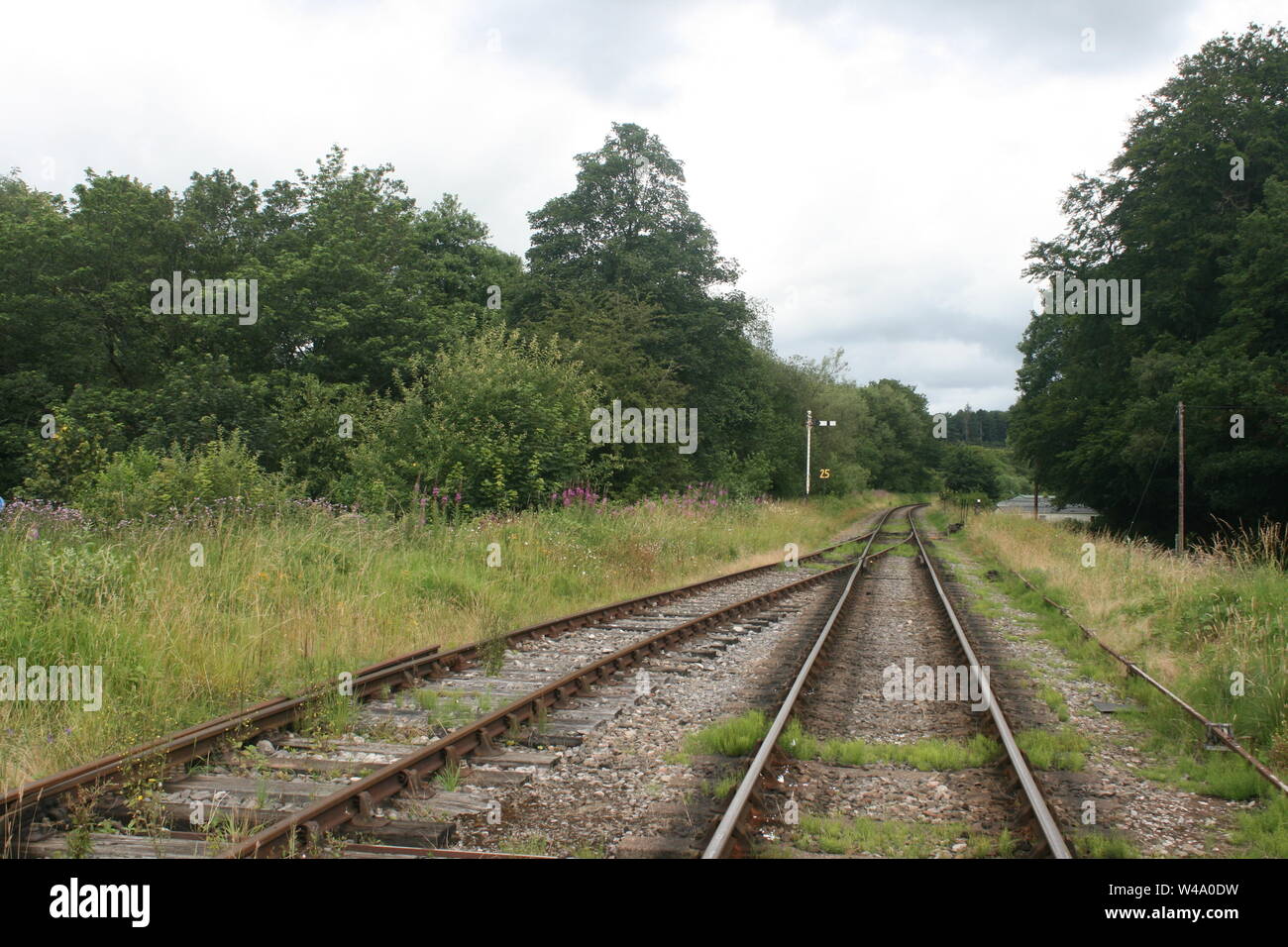 Restaurierte Eisenbahnstrecke aus Cheddleton, Staffordshire, Lauch in Staffordshire Stockfoto