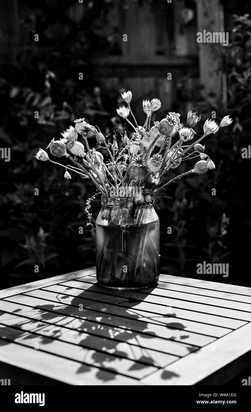 Getrocknete Blumen Display inklusive poppy Köpfe Samen in einer Vase im Freien in einem Garten Stockfoto