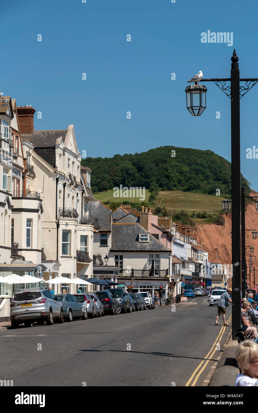 Honiton, Devon, England, UK. Juli 2019. Die Strandpromenade in Sidmouth ein beliebter Ferienort im East Devon. Stockfoto
