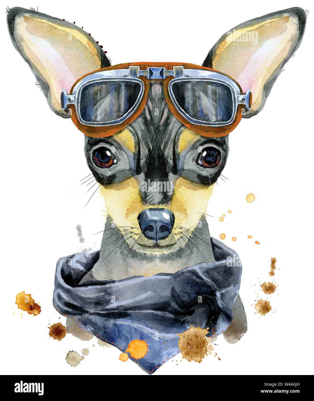 Süßer Hund mit biker Sonnenbrille. T-shirt Grafiken. Aquarell Toy Terrier Abbildung Stockfoto