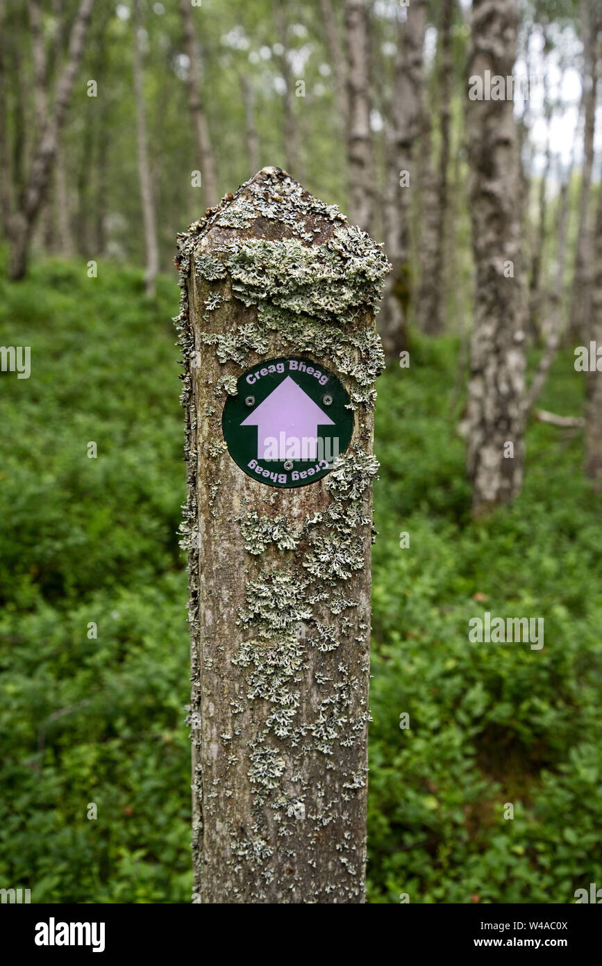 Ein Wegweiser, die den Weg zu Creah Bheag mit Blick auf Kingussie im Cairngorms Nationalpark, Schottland, Großbritannien. Stockfoto