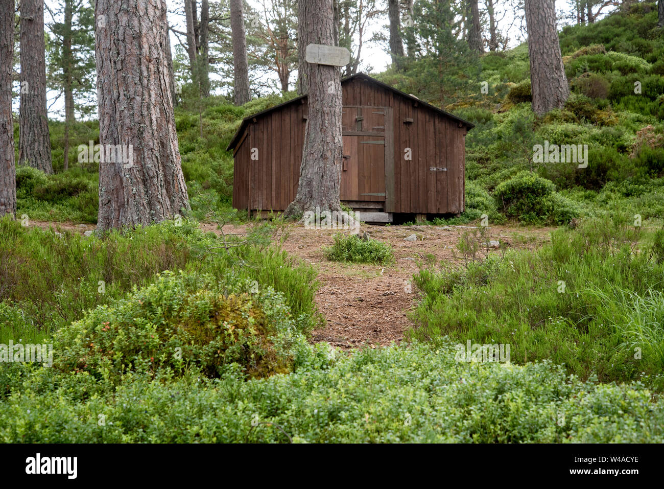 Die Hütte von schwedischen Rentierzüchter Mikel Utsi gebaut für Schutz, während seine Herde im Cairngorms Nationalpark, Schottland, Großbritannien. Stockfoto