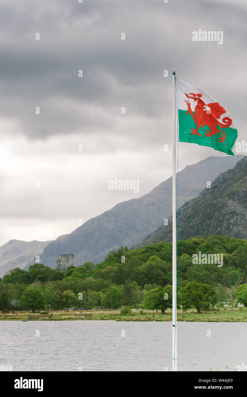 Flagge von Wales winken in der schönen Landschaft von Llanberis, Snowdonia in Wales am See Padarn mit Dolbararn Schloss im Hintergrund. Stockfoto