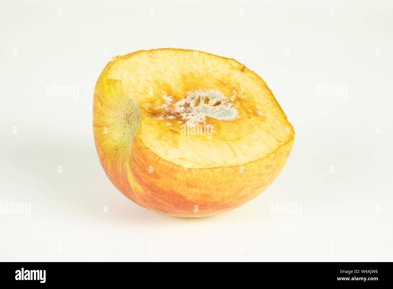 Faulen Apfel auf weißem in der Ansicht von oben. Apple beißen Faulen stechen. Stockfoto