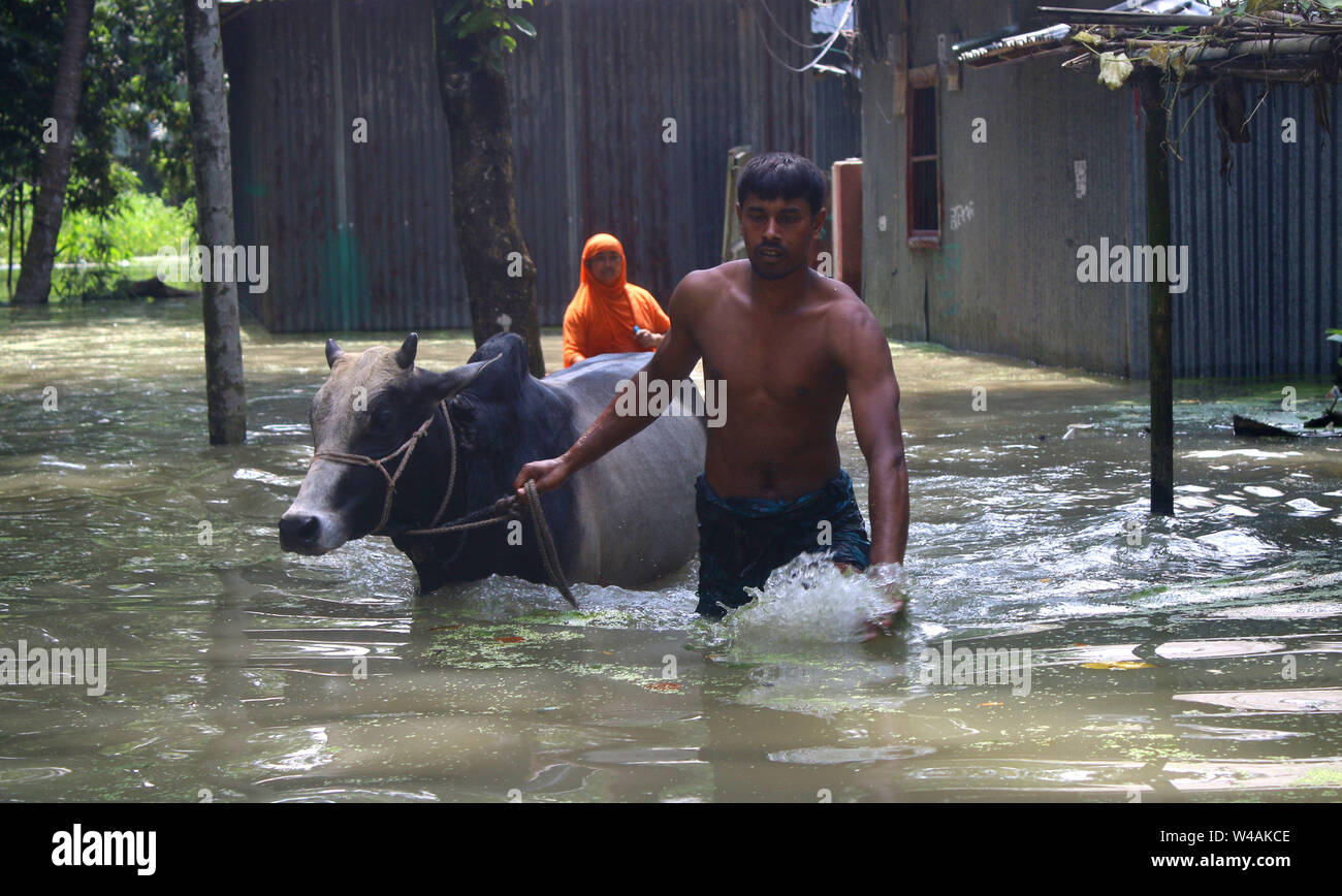 Tangail, Bangladesch. 21. Juli, 2019. Eine Familie nehmen ihre Stier, Tierheim, nachdem ihr Haus von Überschwemmungen in Tangail betroffen. Über millionen Menschen durch Überschwemmungen durch den Monsun Regen und ausufernden Fluss im Norden, Nordosten und hügeligen Regionen in Bangladesch ausgelöst betroffen. Bild: Sultan Mahmud Mukut/SOPA Images/ZUMA Draht/Alamy leben Nachrichten Stockfoto