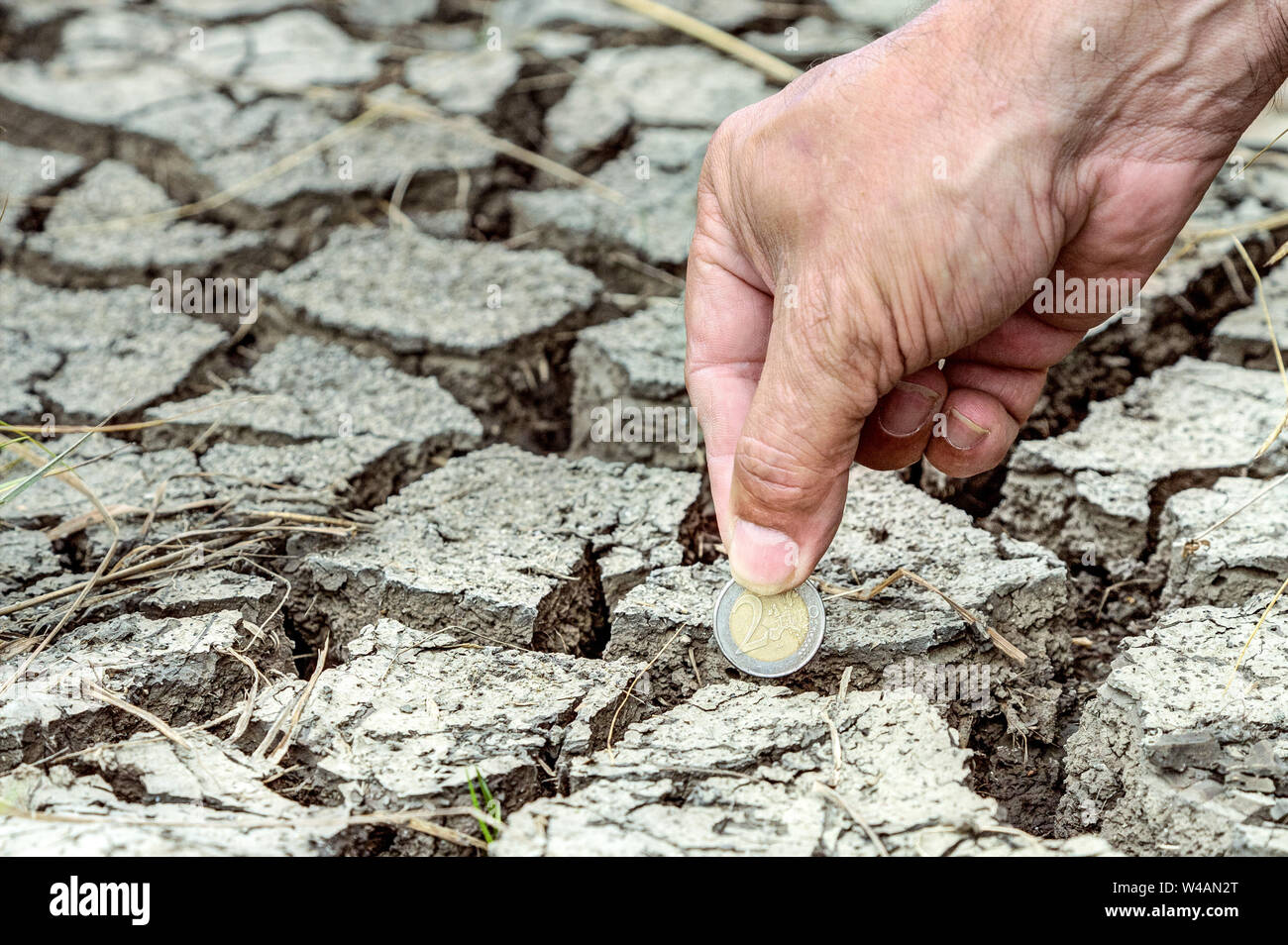 Wie viel hat der Klimawandel? Der Klimawandel führt zu extremen Wetterereignissen, die beträchtliche wirtschaftliche Schäden verursachen. Eine Hand legt eine Zwei-Euro coi Stockfoto