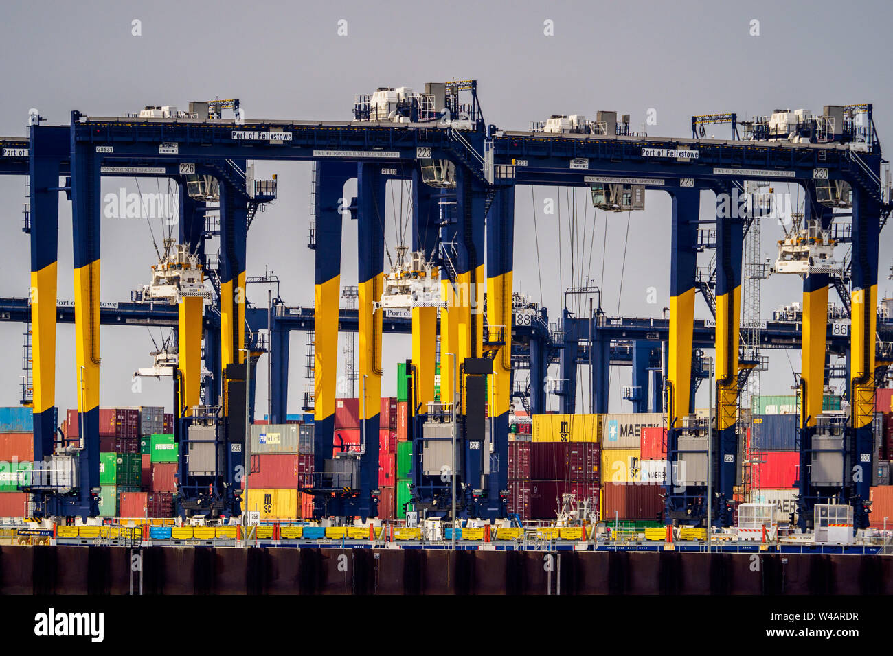 Container Freight Handling im Hafen von Felixstowe, Großbritanniens größter Containerhafen. Container sind auf Container Züge für den Weitertransport transit geladen. Stockfoto