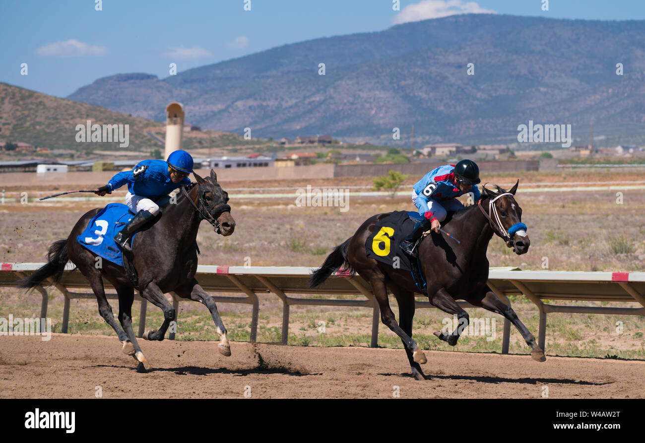 Zwei Rennen Pferde schließen auf der Ziellinie. Stockfoto