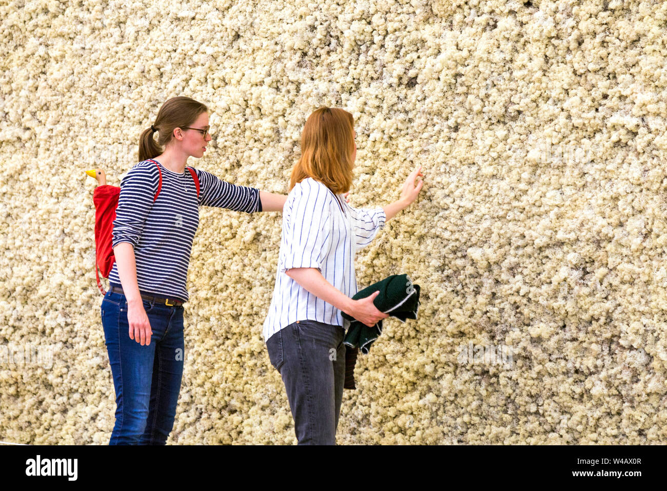 Olafur Eliasson 'Moss Wall" 1009, "im wirklichen Leben" 2019 Ausstellung in der Tate Modern, London, UK Stockfoto