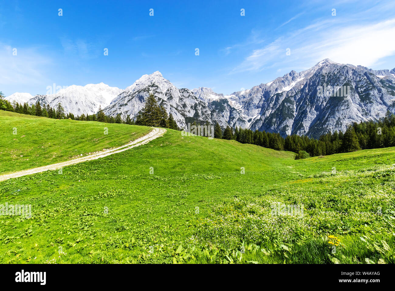 Blick auf die Alpen, Pfad durch Sommer Bergwelt Stockfoto