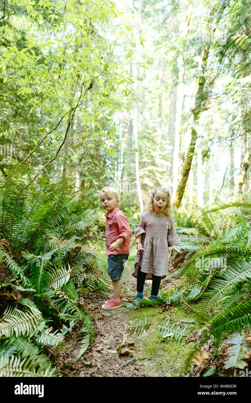 Gerade im Blick auf zwei junge Kinder wandern durch den Wald Stockfoto