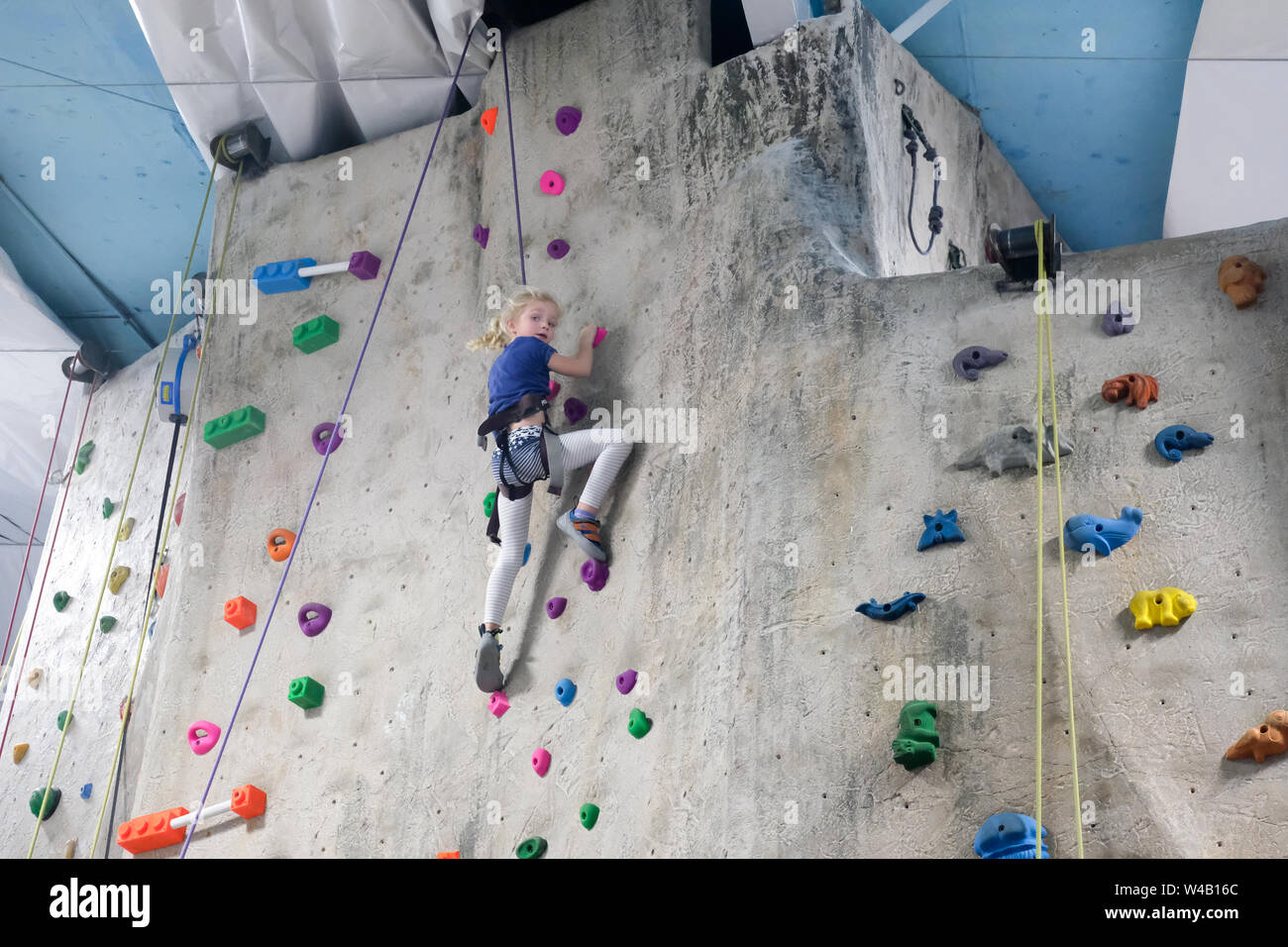 Junge Mädchen klettern Fels Wand an indoor Rock Climbing Gym Stockfoto