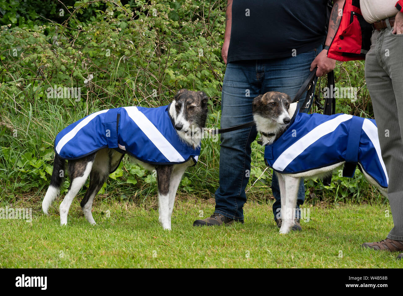 Oban, alle unter einem Banner Unabhängigkeit März - 2019 Stockfoto