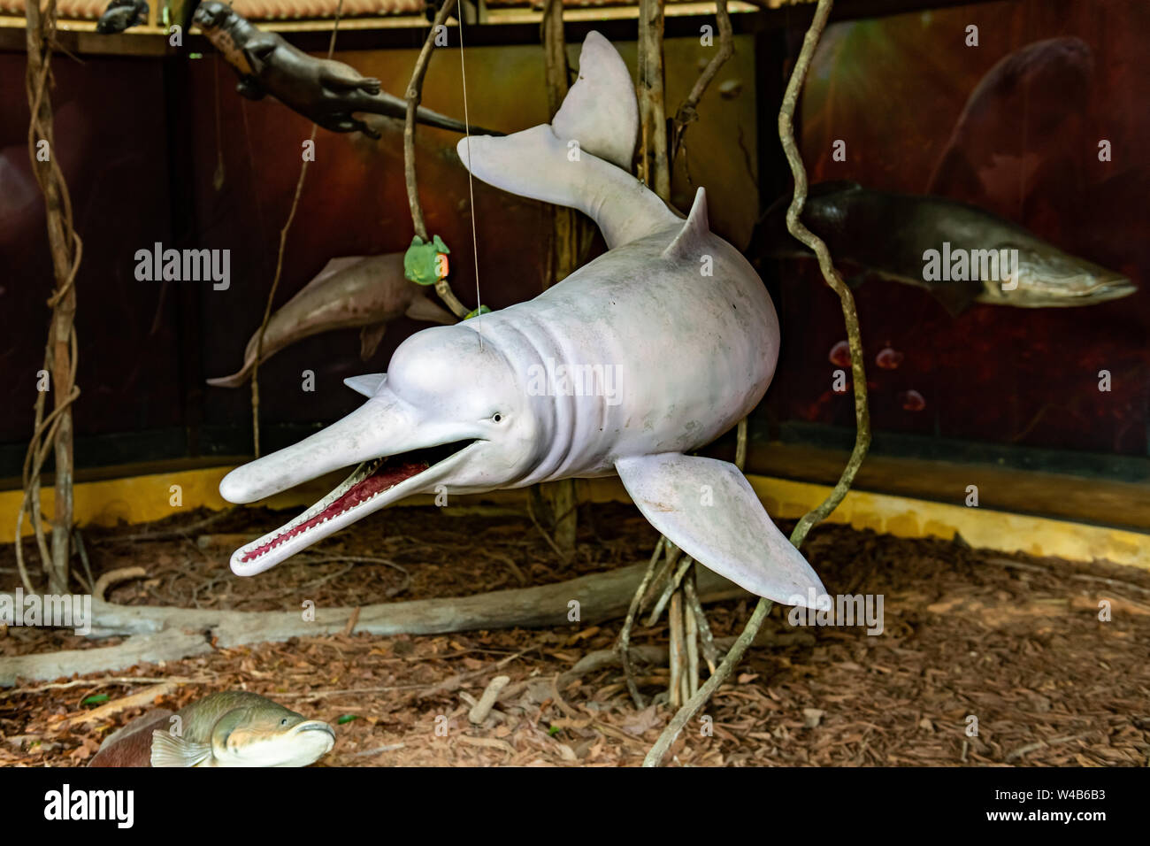 Nachbau eines Rosa Delfin schwimmt an der Amazon Rescue Center in Iquitos, Peru Stockfoto