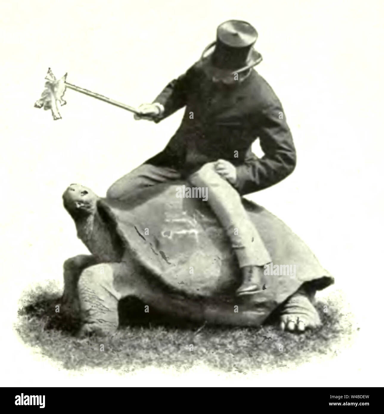 Herr Rothschild Lord rothschild -Fotos und -Bildmaterial in hoher Auflösung – Alamy