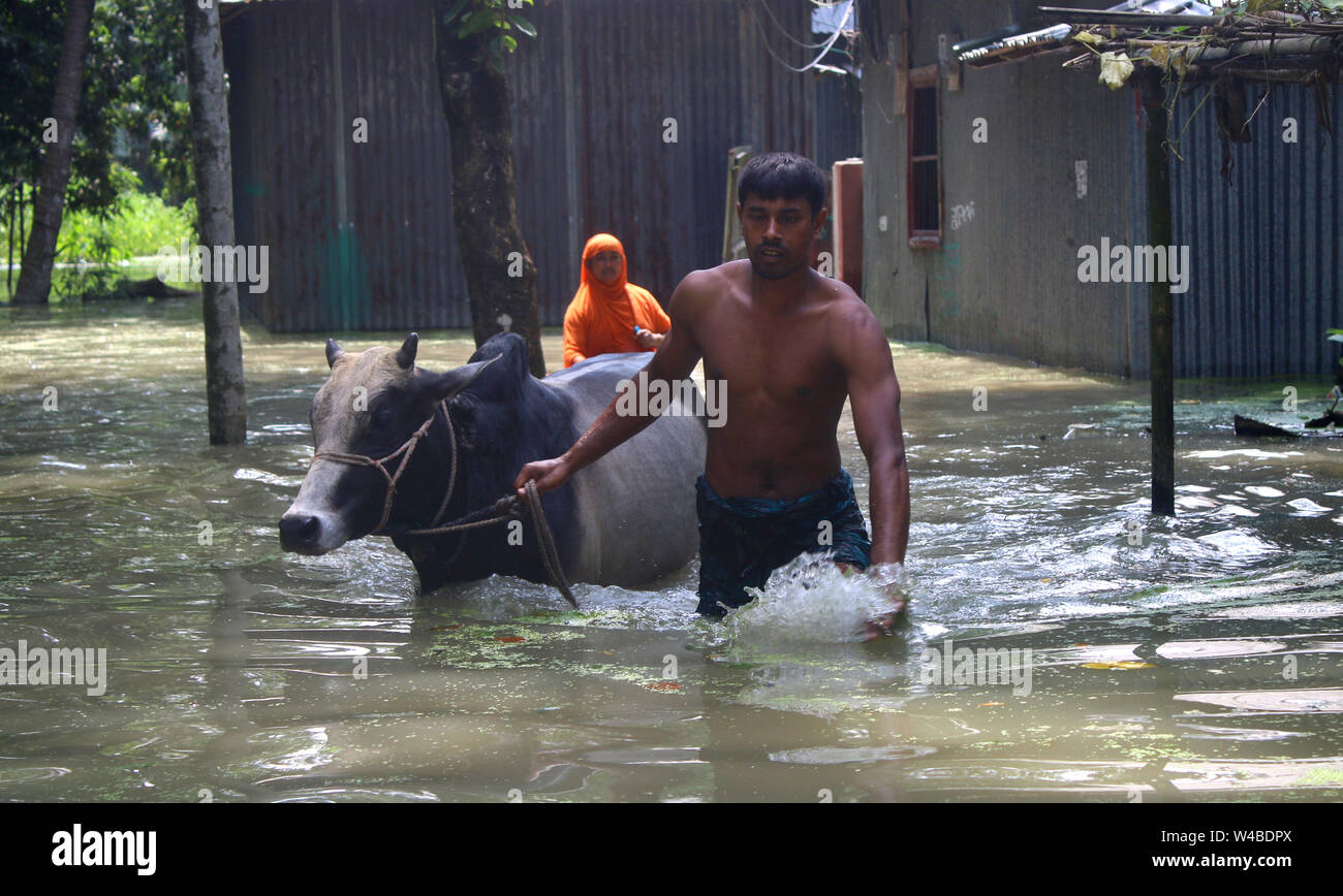 Tangail, Bangladesch. 21. Juli, 2019. Eine Familie nehmen ihre Stier, Tierheim, nachdem ihr Haus von Überschwemmungen in Tangail betroffen. Über millionen Menschen durch Überschwemmungen durch den Monsun Regen und ausufernden Fluss im Norden, Nordosten und hügeligen Regionen in Bangladesch ausgelöst betroffen. Credit: SOPA Images Limited/Alamy leben Nachrichten Stockfoto
