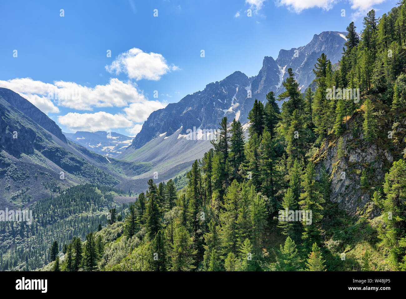 Dunkle Nadelwälder Taiga am Berghang im Juli. Tal Arzhan-Khem. Tuva. Zentralasien Stockfoto