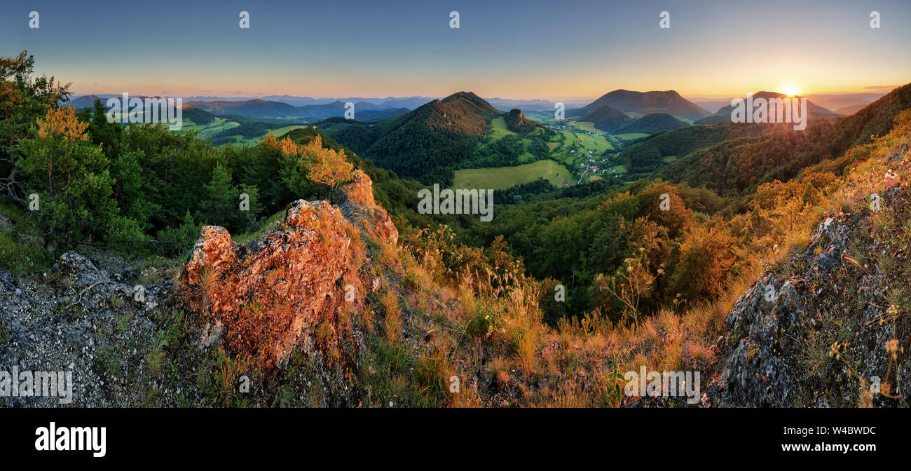 Panorama der wald landschaft bei Sonnenuntergang Stockfoto