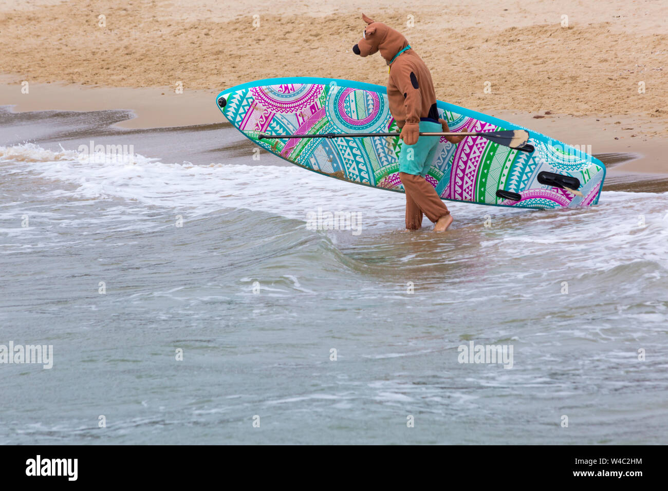 Scooby Doo geht surfen, paddleboarding für Hund Surfen Meisterschaften an branksome Dene Chine Beach, Poole, Dorset Großbritannien im Juli Stockfoto