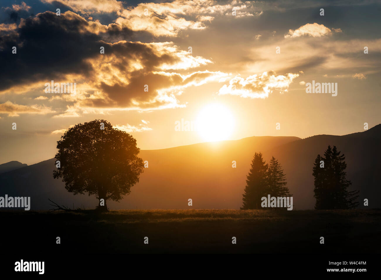 Ländliche Landschaft mit einem Hügel und ein einzelner Baum im Golden Sunset mit warmem Licht Stockfoto