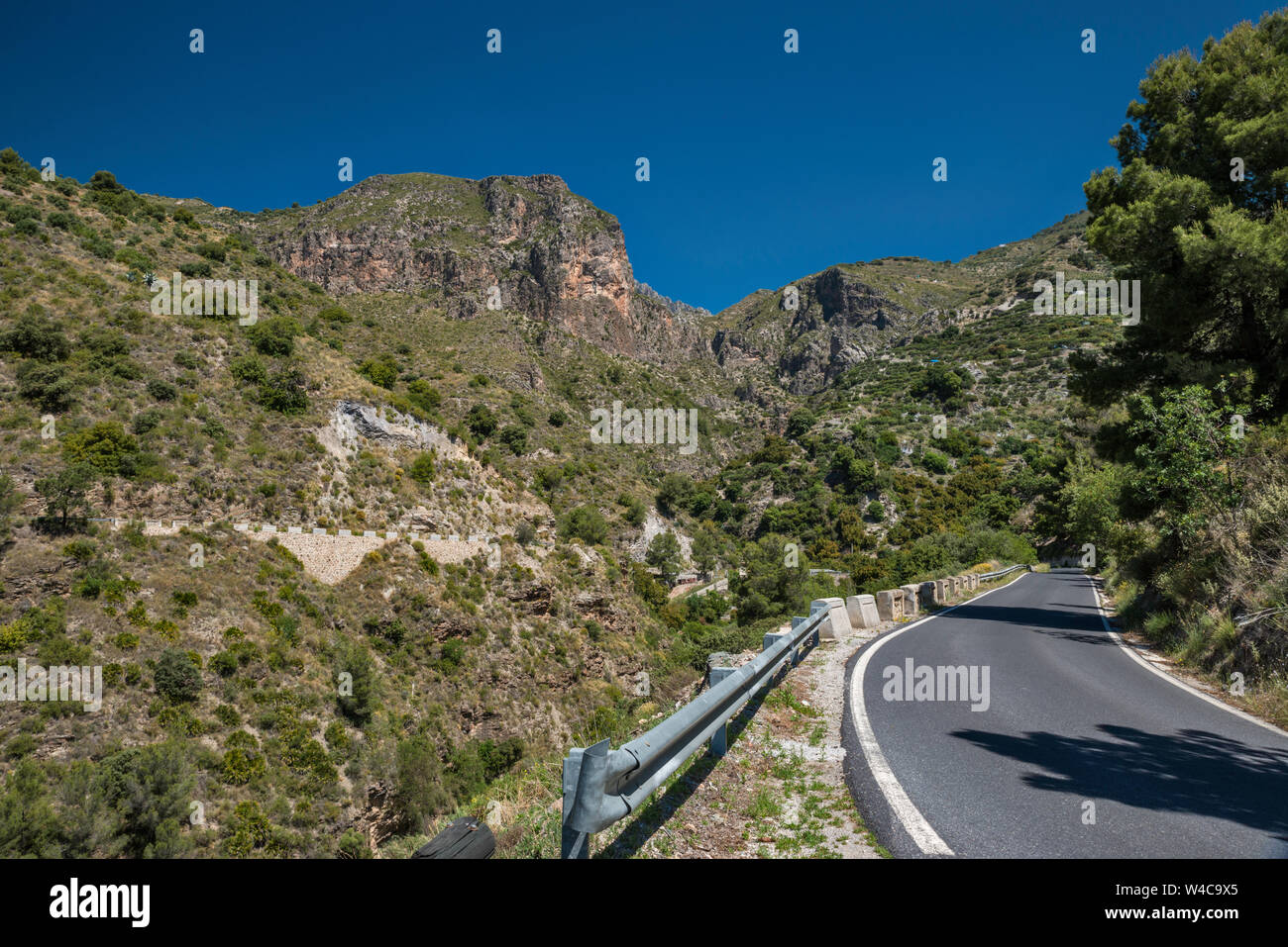Ein 4050-Straße in Sierra del Chaparral, in der Nähe der Ortschaft Lentegi, Provinz Granada, Andalusien, Spanien Stockfoto