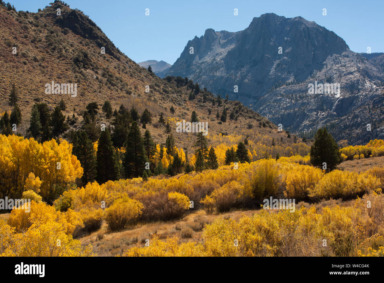 Sonnigen Nachmittag im Herbst in den Sierra Nevada Bergen in Kalifornien. Stockfoto