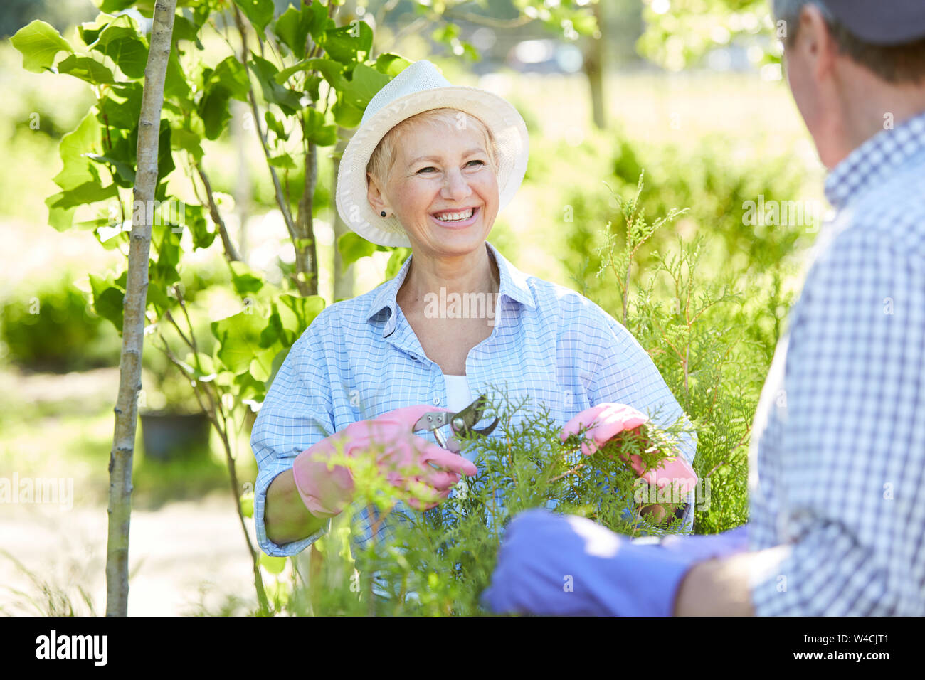 Taille bis Portrait von lächelnden älteren Frau, die Pflege von Pflanzen im Freien bei Sonnenlicht, Kopie Raum Stockfoto