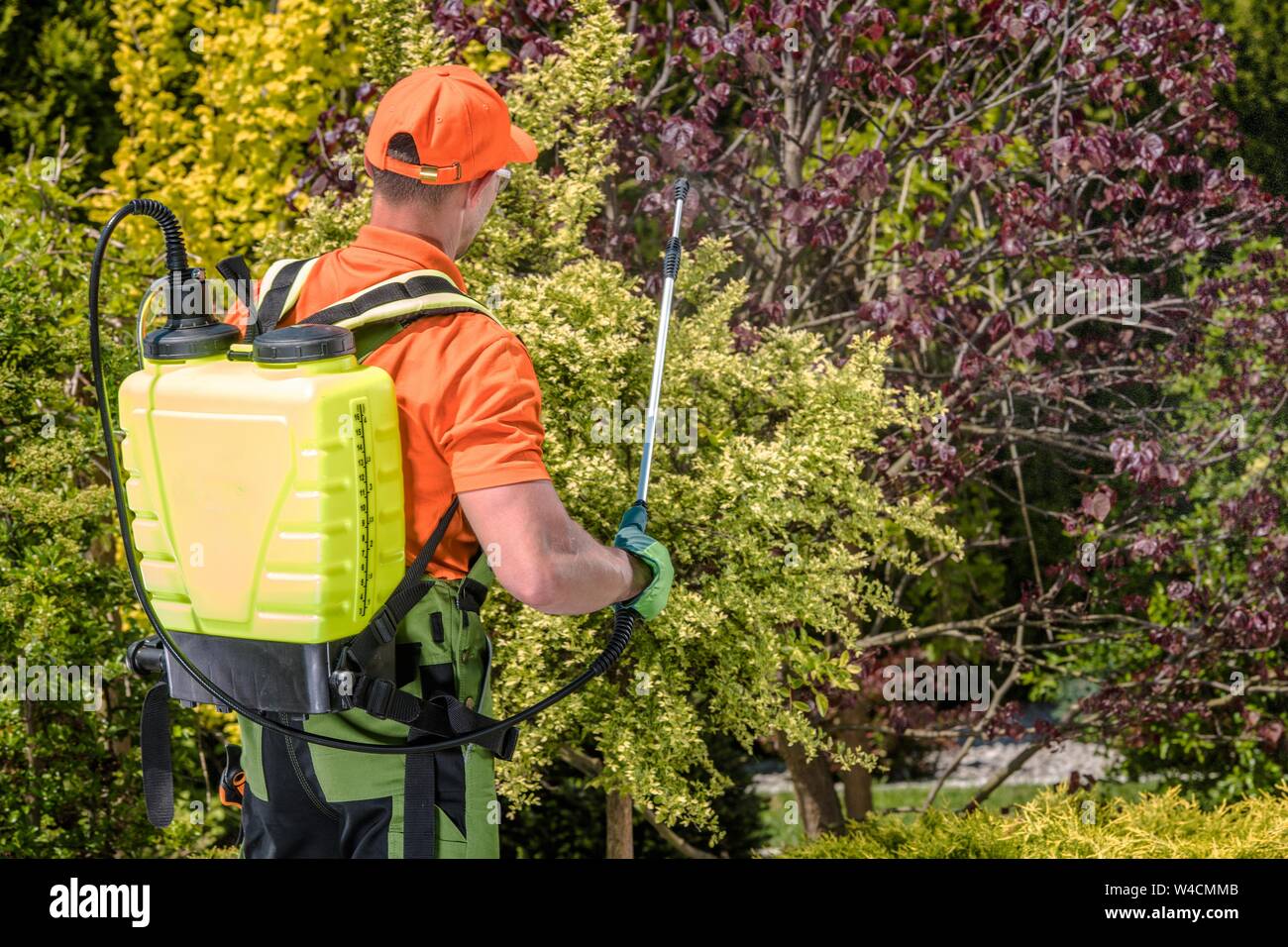 Garten und Landwirtschaft Düngung Technologie. Kaukasische Gärtner mit Rückständen von Lackieranlagen. Stockfoto