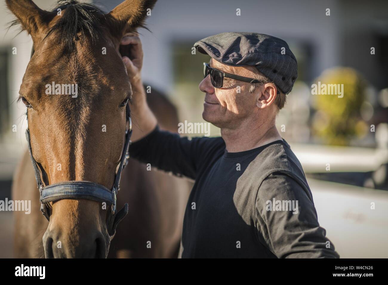 Race Horse Ownership Konzept Foto. Erfolgreiche kaukasischen Männern in seiner 60 Nur in neue Pferd investiert. Stockfoto