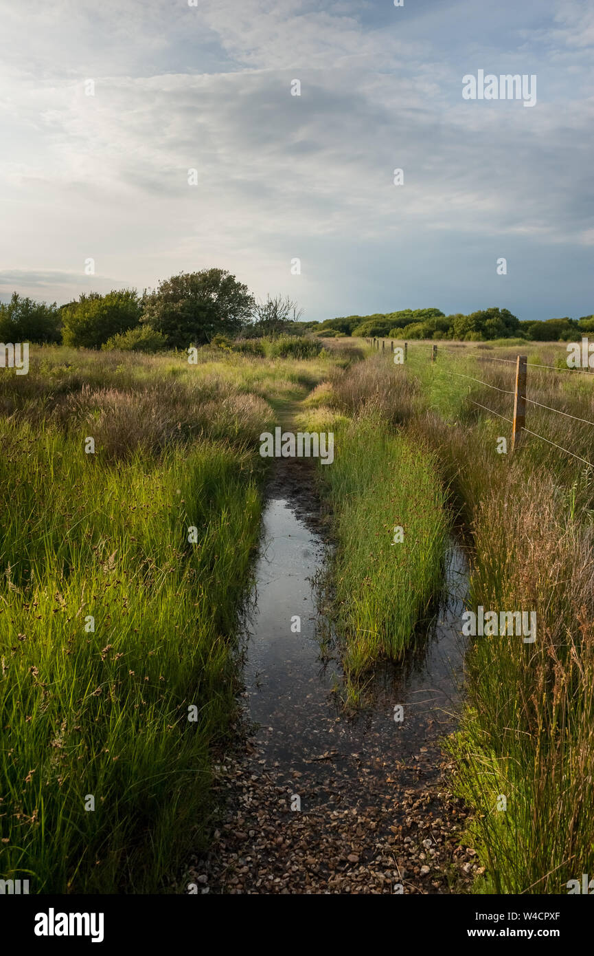 Typische ländliche England Stockfoto
