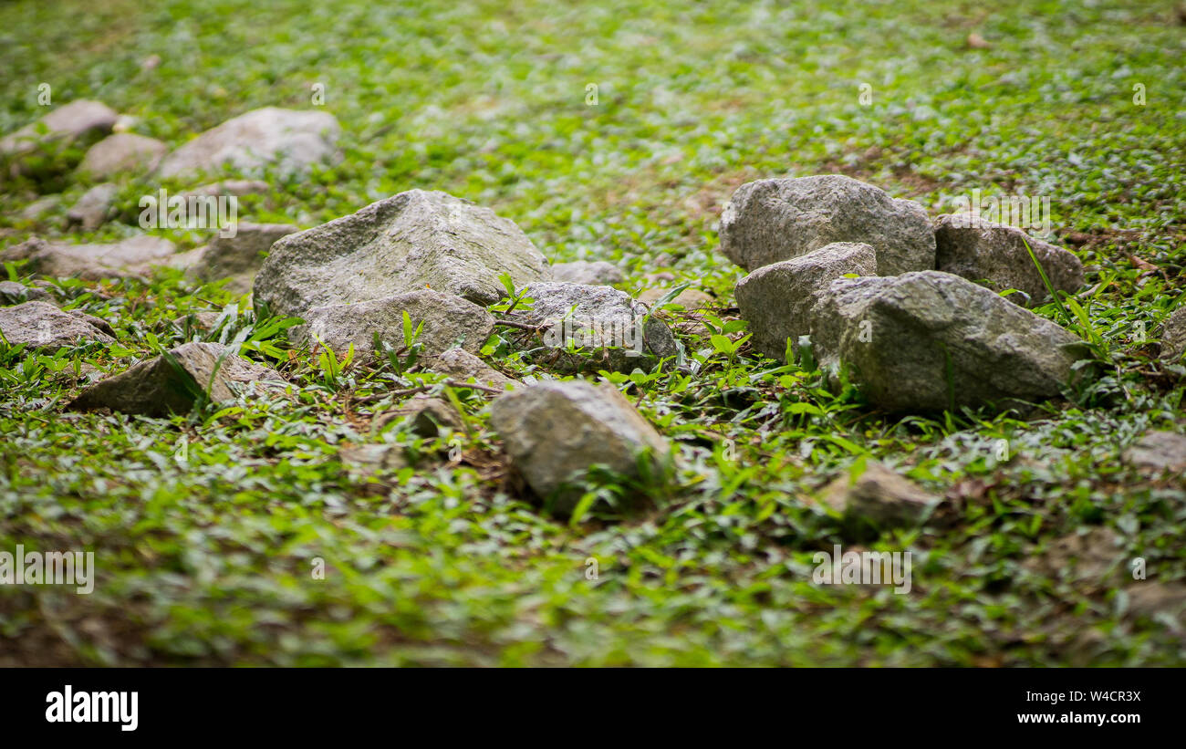 Grüne Gras wachsen durch die Steine in den Park. Stockfoto