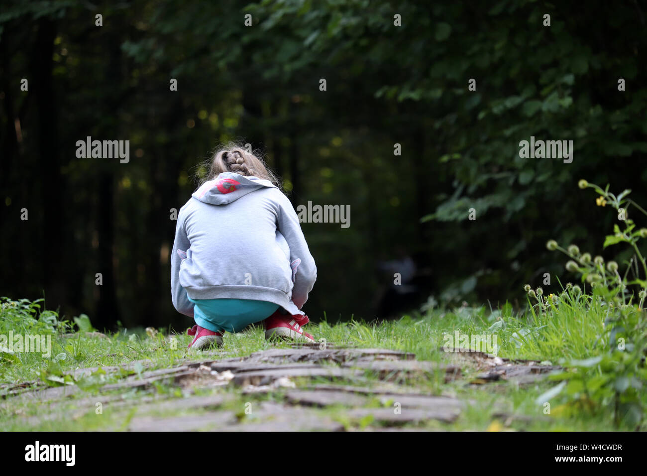 Kleine Mädchen spielen auf dem Weg in einen dunklen Wald, Ansicht von hinten. Kind hocken sammelt Pflanzen im Sommer Stockfoto