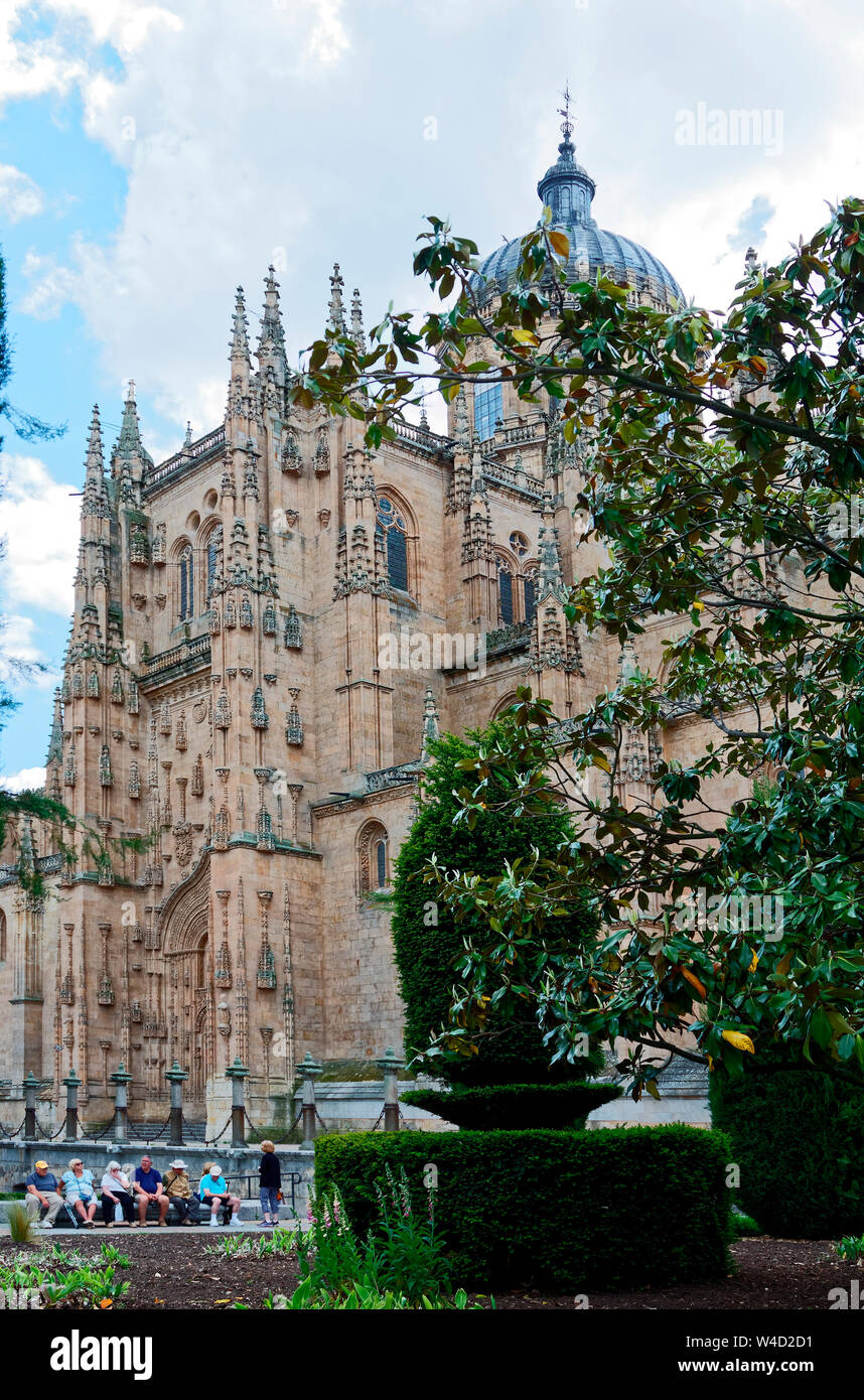 Kathedrale von Salamanca, 12-17 Jahrhundert, Katholischen, alte religiöse Gebäude, verzierte, filigrane Türme, Dome, Laub, Stadt Szene; UNESCO-Website; Europa; Sal Stockfoto