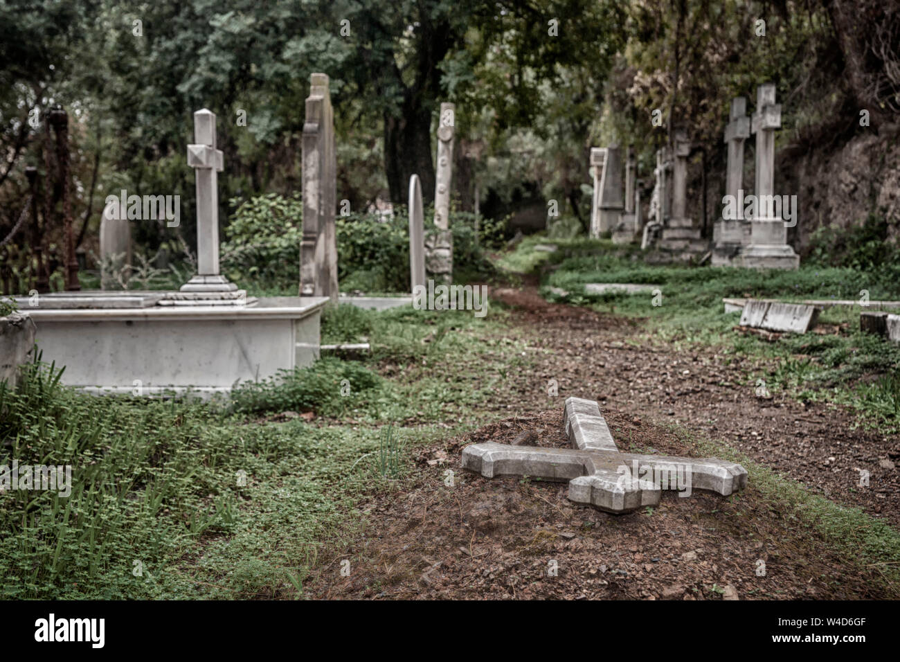 Alte englische Friedhof in der Provinz Malaga Stockfoto