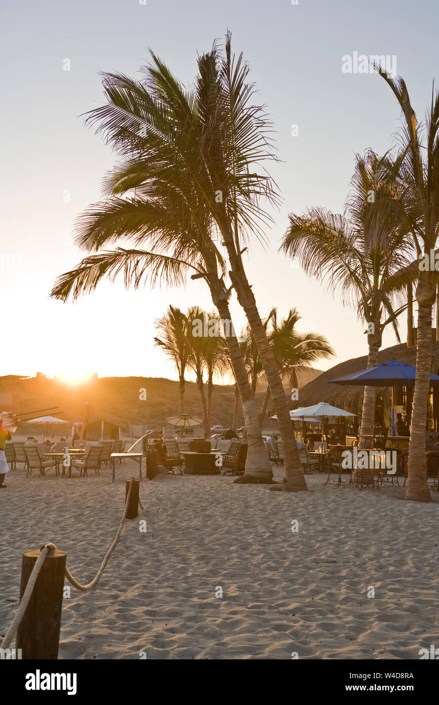 Palmen vor einem Cafe am Strand bei Sonnenuntergang. Stockfoto