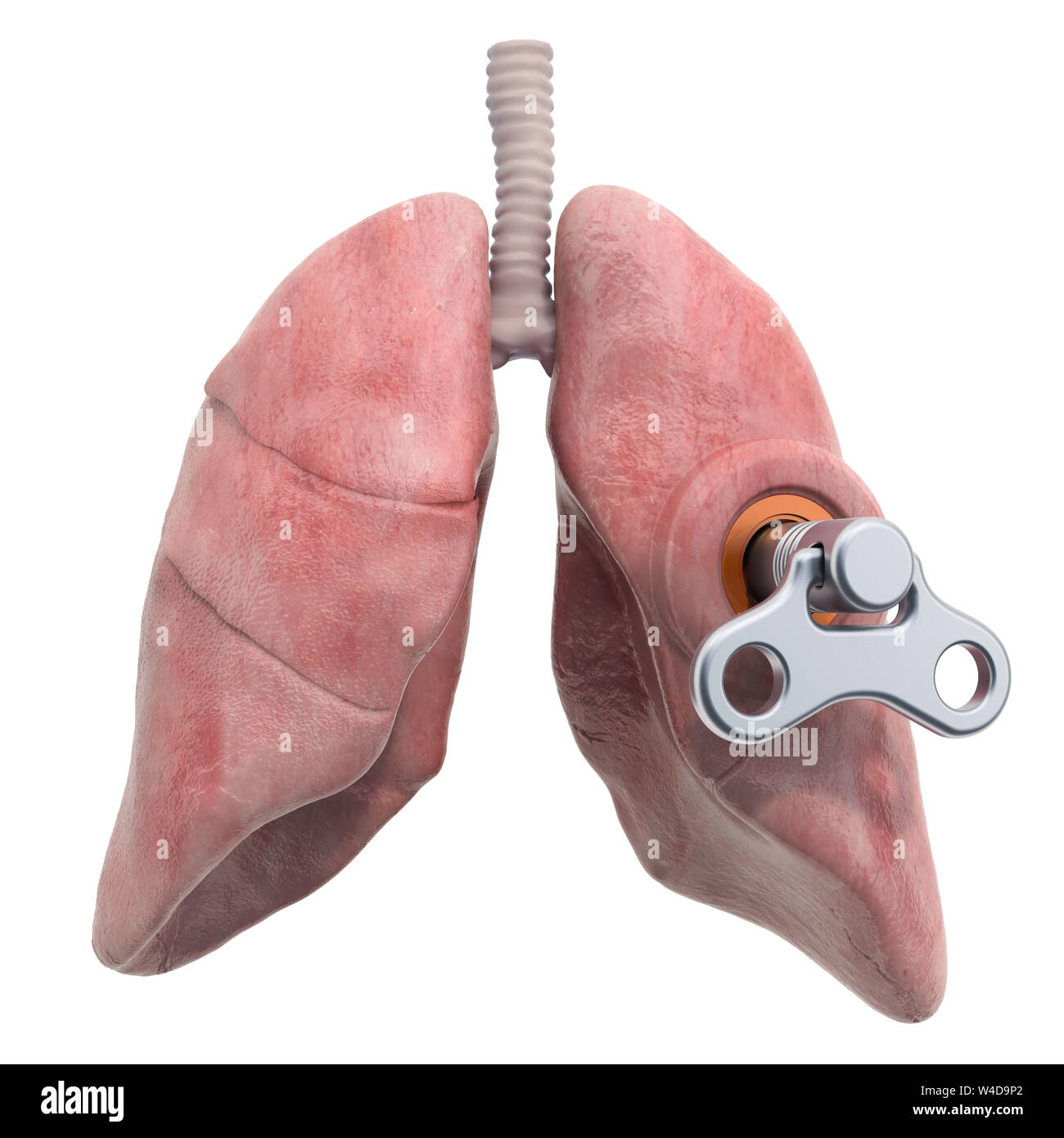 Menschliche lungen mit wind-up-Taste. Behandlung und Verwertung Konzept. 3D-Rendering auf weißem Hintergrund Stockfoto