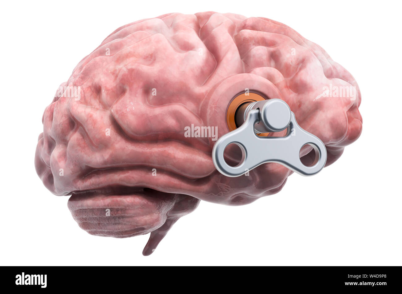 Menschliche Gehirn mit wind-up-Taste. Behandlung und Verwertung Konzept. 3D-Rendering auf weißem Hintergrund Stockfoto