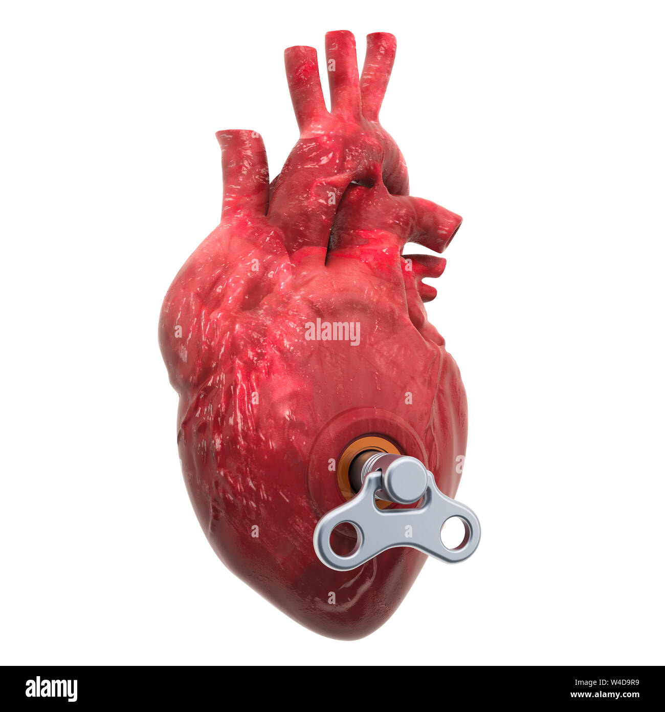 Das menschliche Herz mit wind-up-Taste. Behandlung und Verwertung Konzept. 3D-Rendering auf weißem Hintergrund Stockfoto