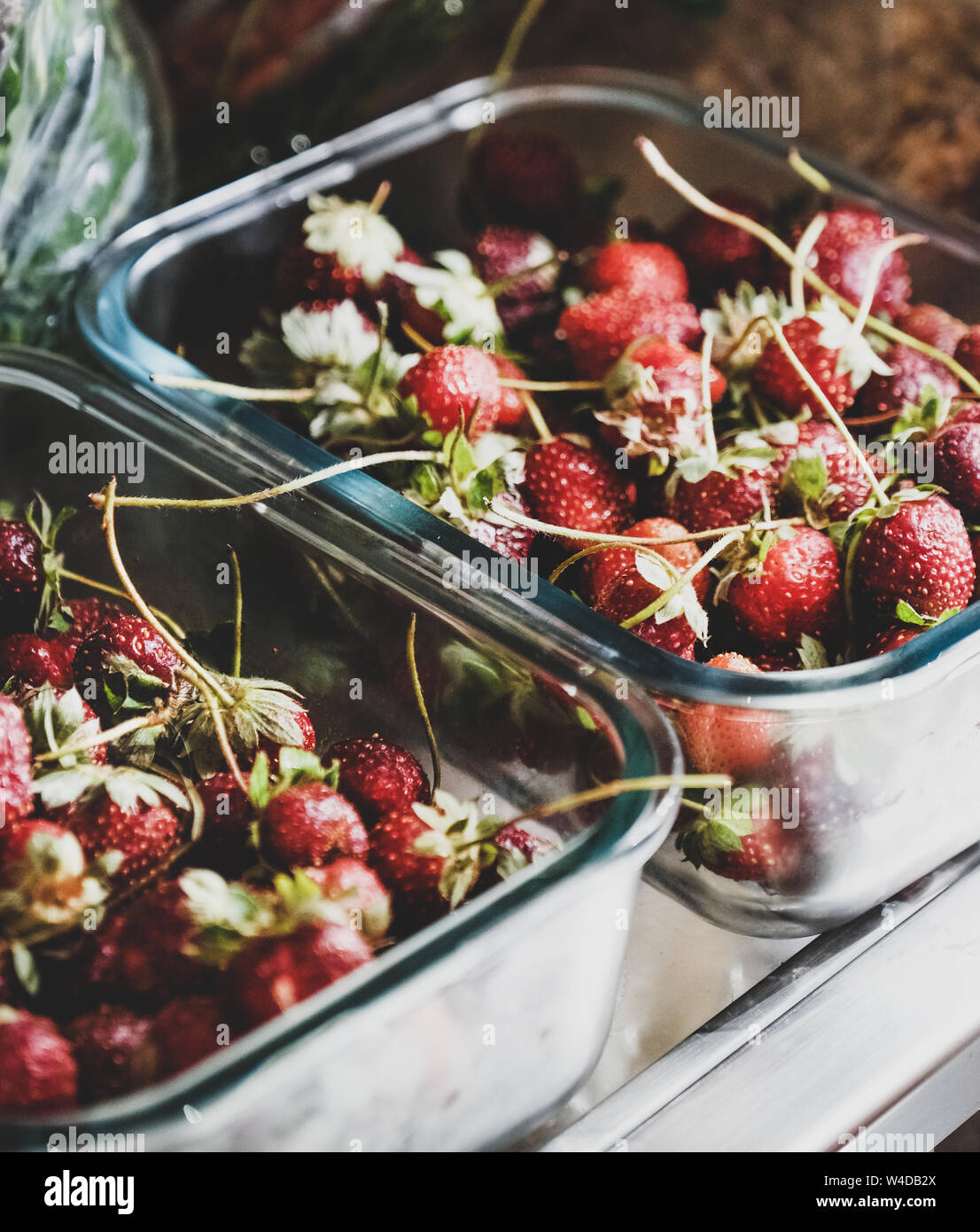 Kühlschrank Regale mit frischem Sommer Garten Erdbeeren in Container verladen Stockfoto