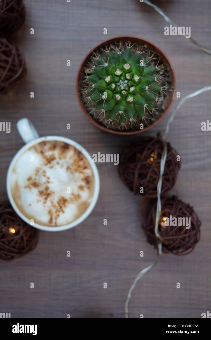 Blick von oben auf eine Tasse Cappuccino, neben einem Baby Kaktus und einige dekorative Lichterketten in einem Coffee Shop Stockfoto