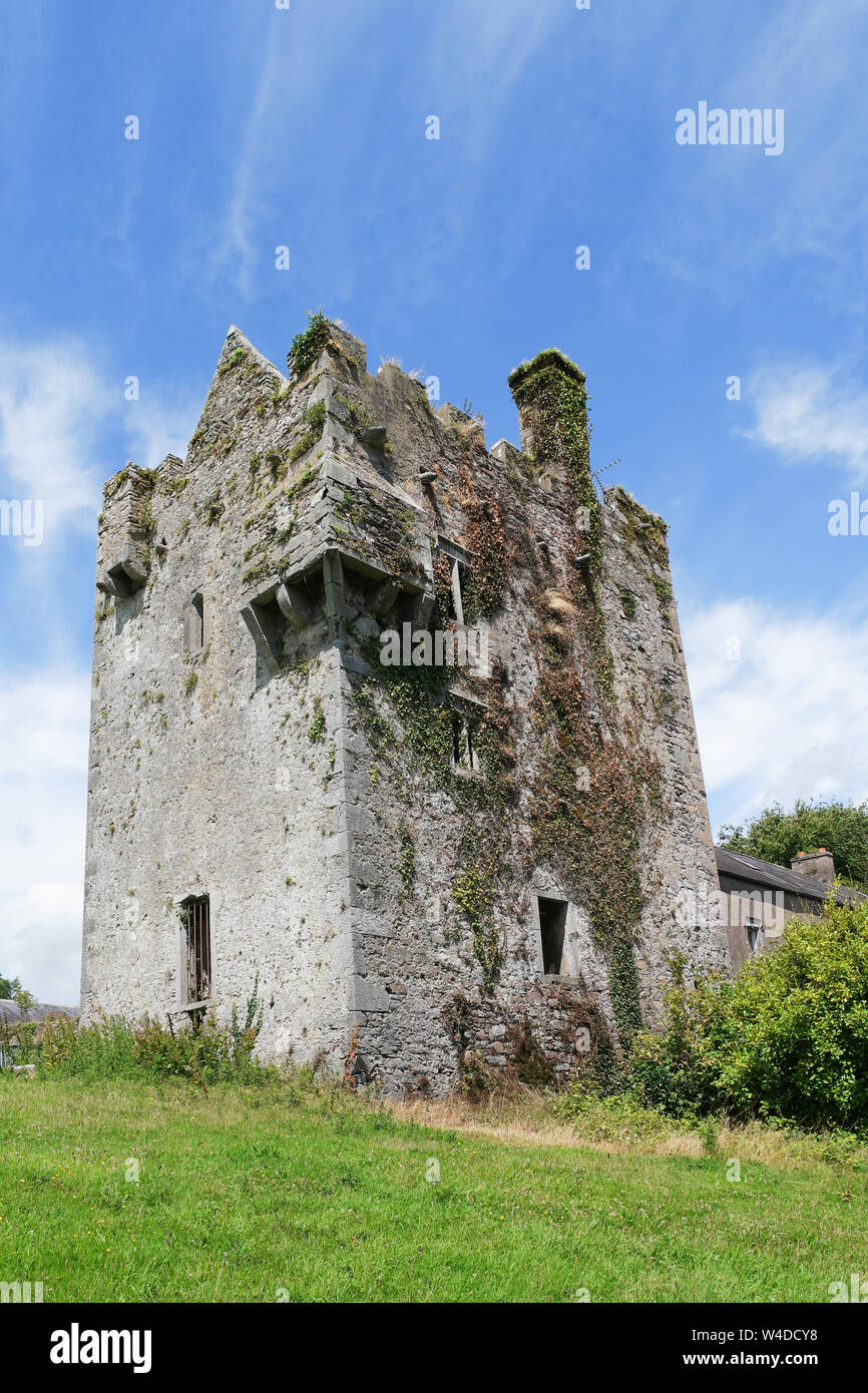 Bild von einem verlassenen Tourin Castle im County Waterford, Irland. Stockfoto