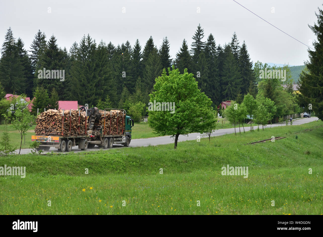 Grüne lkw mit holz aus dem Bergwald Stockfoto