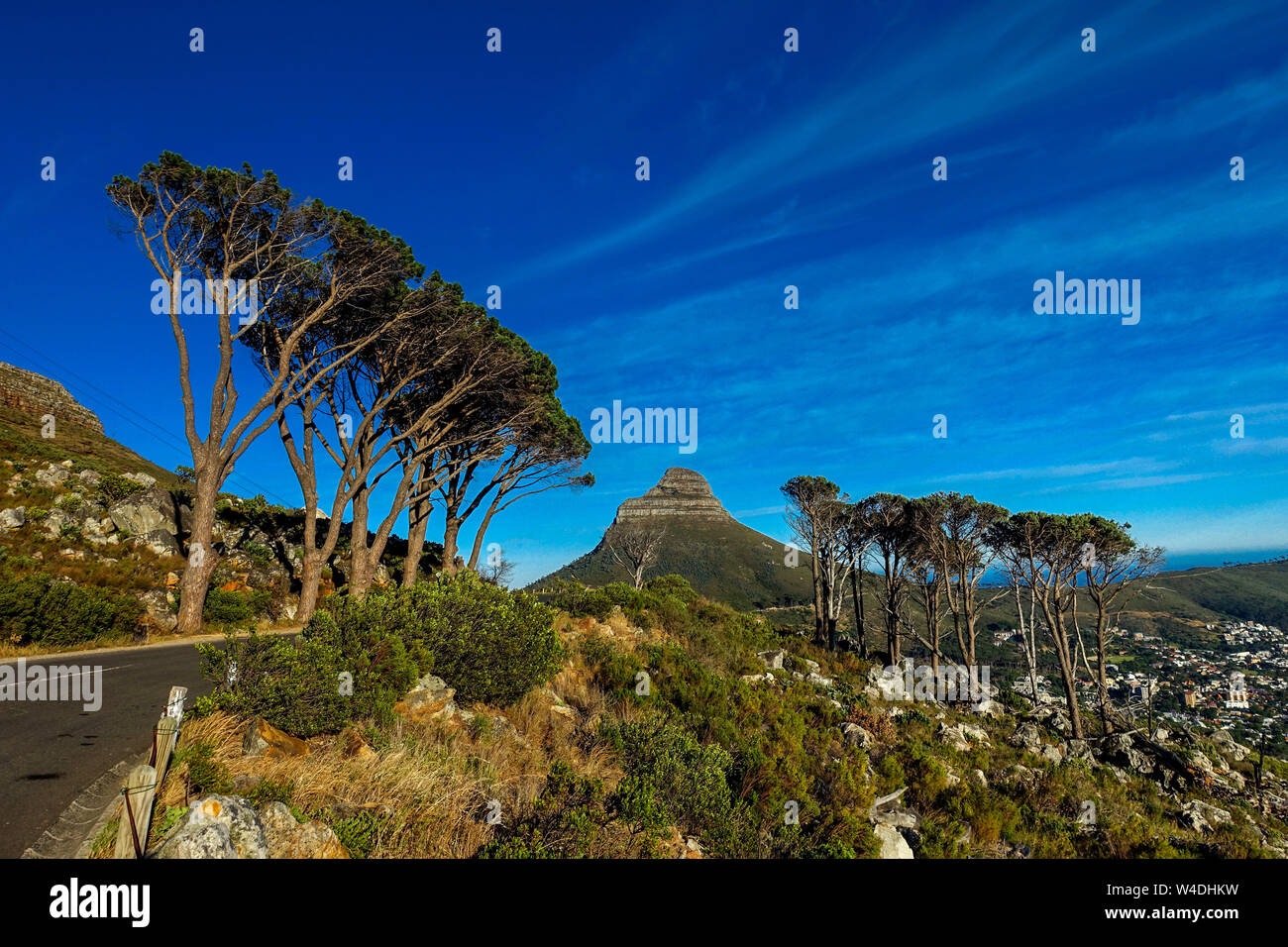 Lion's Head in Kapstadt in Südafrika von Bäumen eingerahmt. Wandern im Sommer. Schönen Südafrikanischen Landschaft mit blauen Himmel. Stockfoto