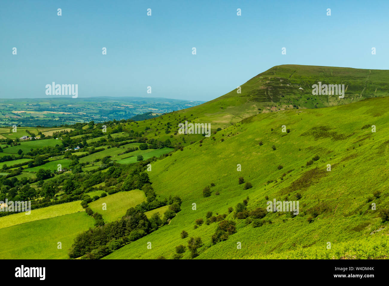 Luftaufnahme von grünen Feldern und Äckern im ländlichen Wales Stockfoto