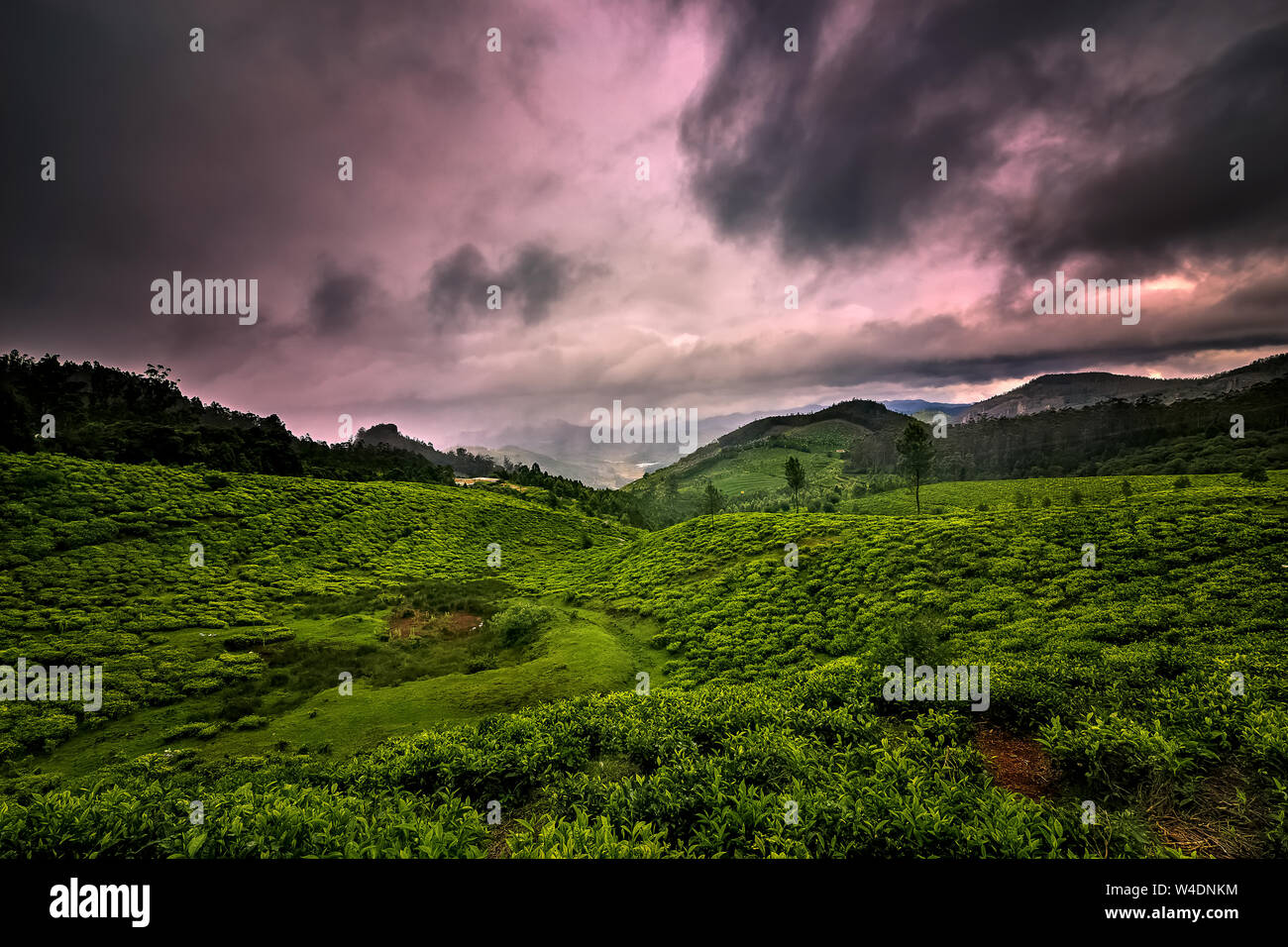 Kotagiri -Tamilnadu -Indien Stockfoto