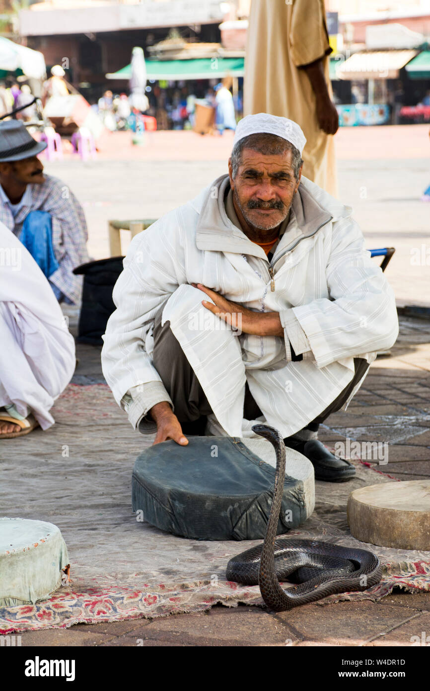 Schlangenbeschwörer zeigt schwarze Reptil morocan Schlange Touristen eine Attraktion in der Alten Medina Platz Marrakesch, Marokko Stockfoto