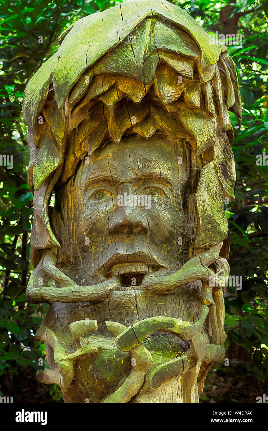 Eine hölzerne Leiter Carving / Skulptur auf Anzeige an einem Skulpturenpark. Stockfoto