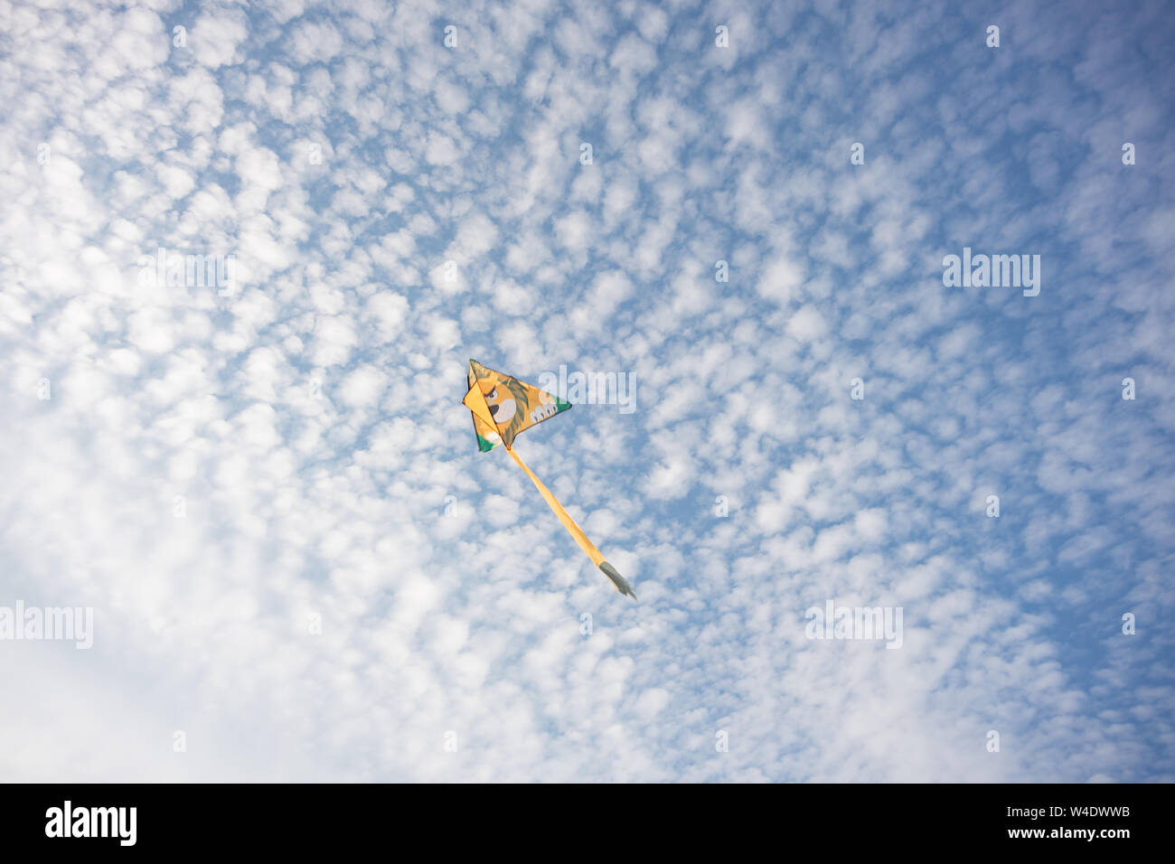 Kite mit Gelber Löwe Malerei mit blauem Himmel und weißen Wolken im Hintergrund. Stockfoto